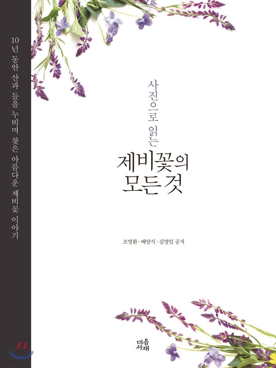 사진으로 읽는 제비꽃의 모든 것