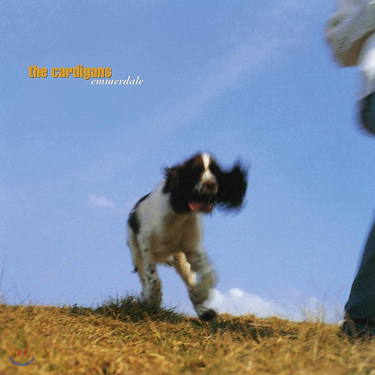 Cardigans - Emmerdale 카디건스 정규 1집 [LP]