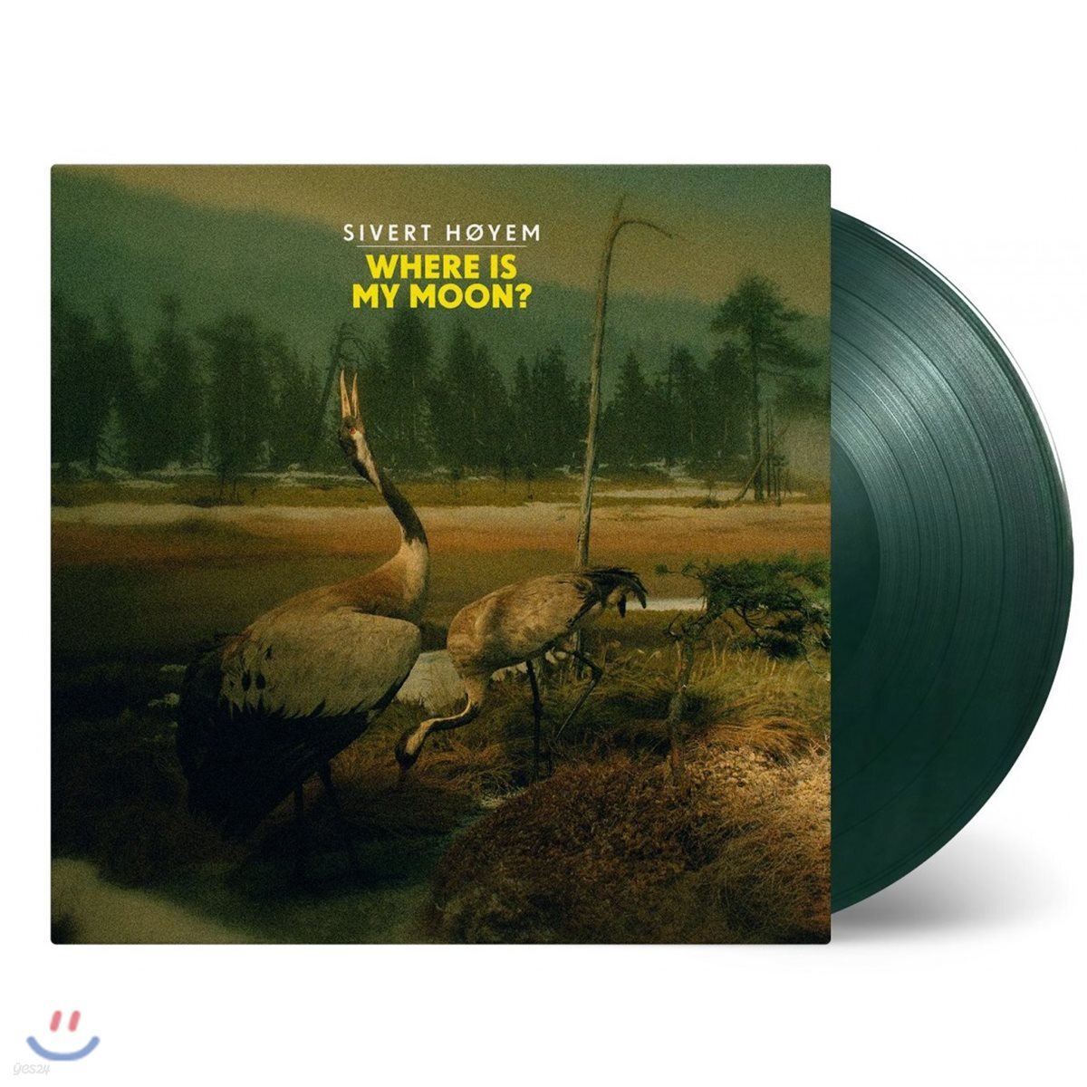 Sivert Hoyem (지베르트 호이엠) - Where is my moon? [모스 그린 LP]