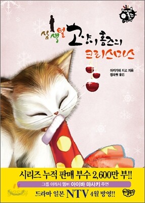 삼색털 고양이 홈즈의 크리스마스