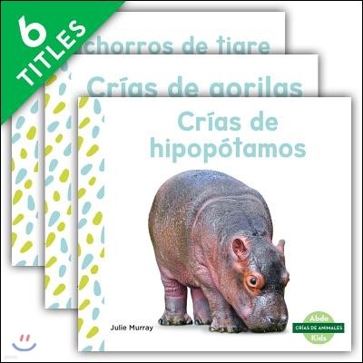 Crias de Animales (Baby Animals Set 2)Crias de Animales (Baby Animals Set 2) (Spanish Version) (Set)