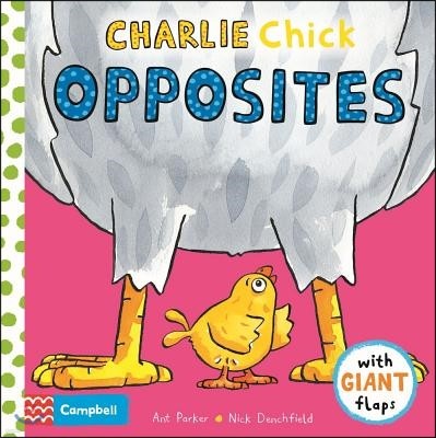 Charlie Chick Opposites