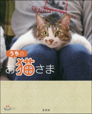 うちのお猫さま