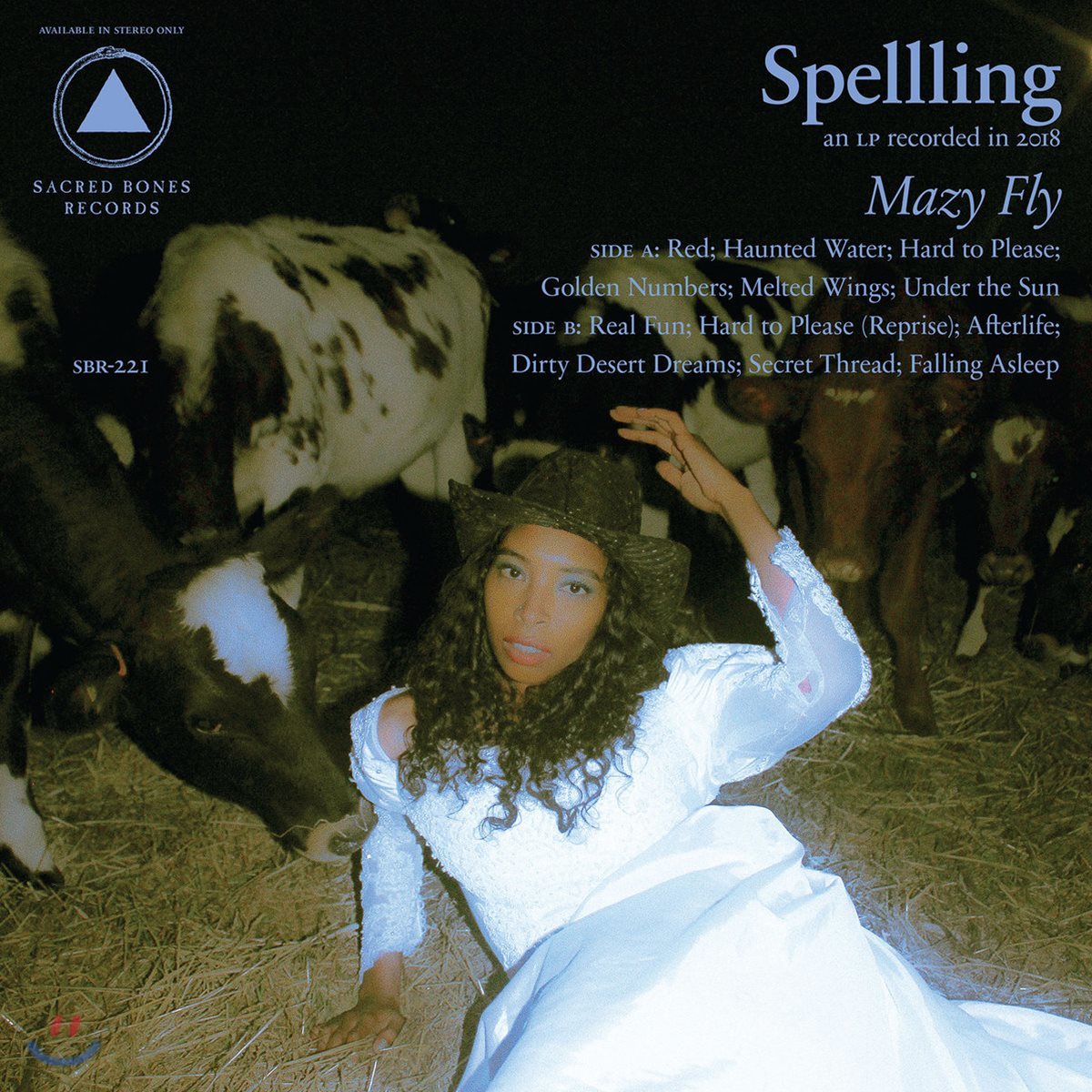 Spellling (스펠링) - Mazy Fly