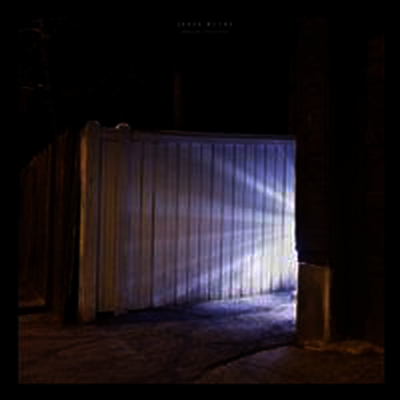 Jesse Ruins - Dream Analysis (LP)