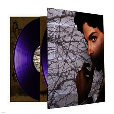 Prince — Musicology (Remastered)(Gatefold) 앨범 커버