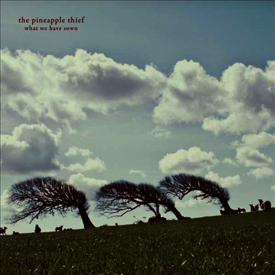 Pineapple Thief — What We Have Sown (Gatefold) 앨범 커버