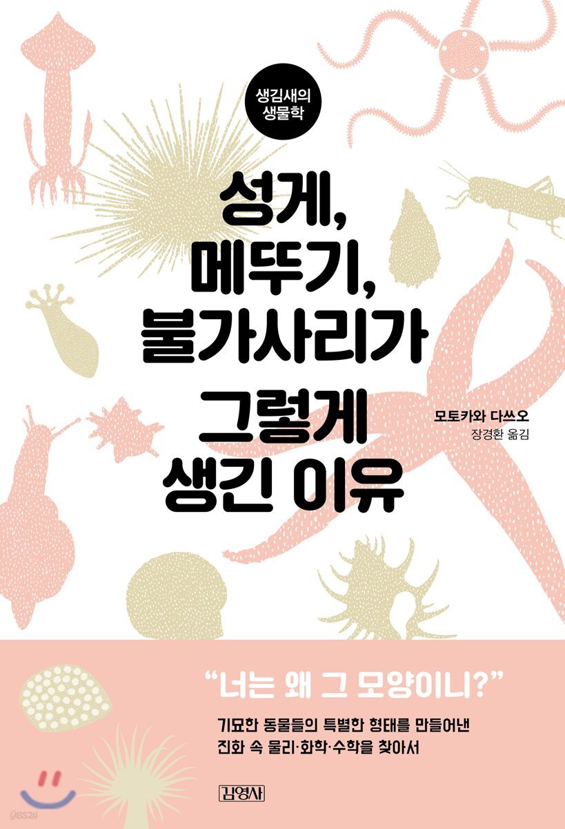 성게, 메뚜기, 불가사리가 그렇게 생긴 이유