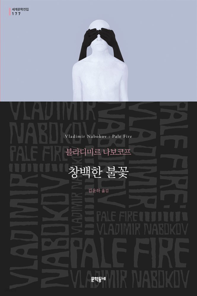 창백한 불꽃 - 세계문학전집 177