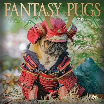 Fantasy Pugs 2020 Calendar