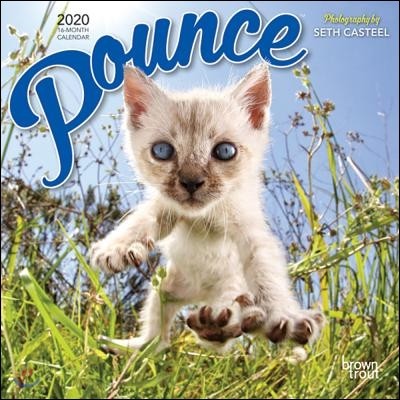 Pounce 2020 Calendar