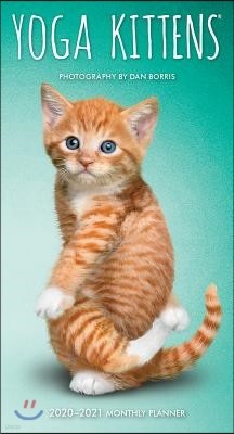 Yoga Kittens 2020 Pocket Planner