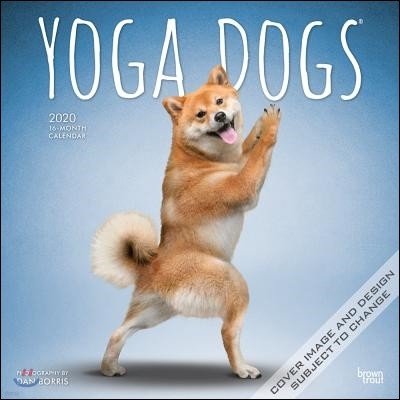 Yoga Dogs 2020 Calendar