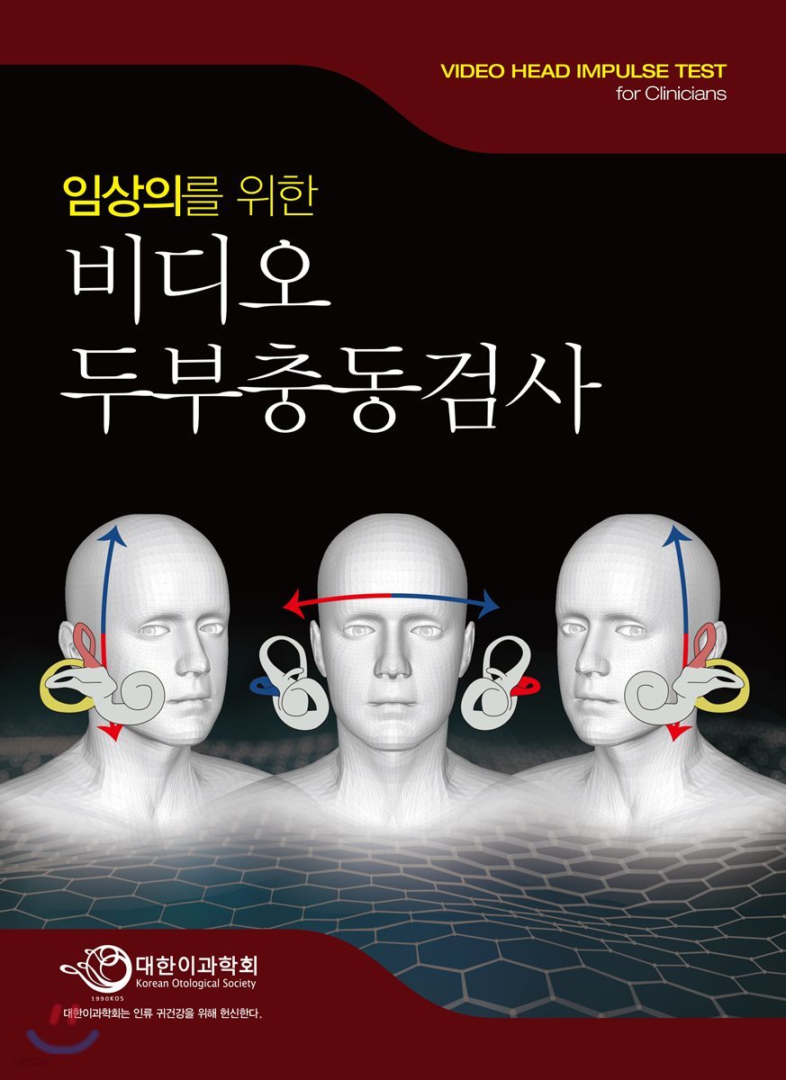 비디오 두부충동검사