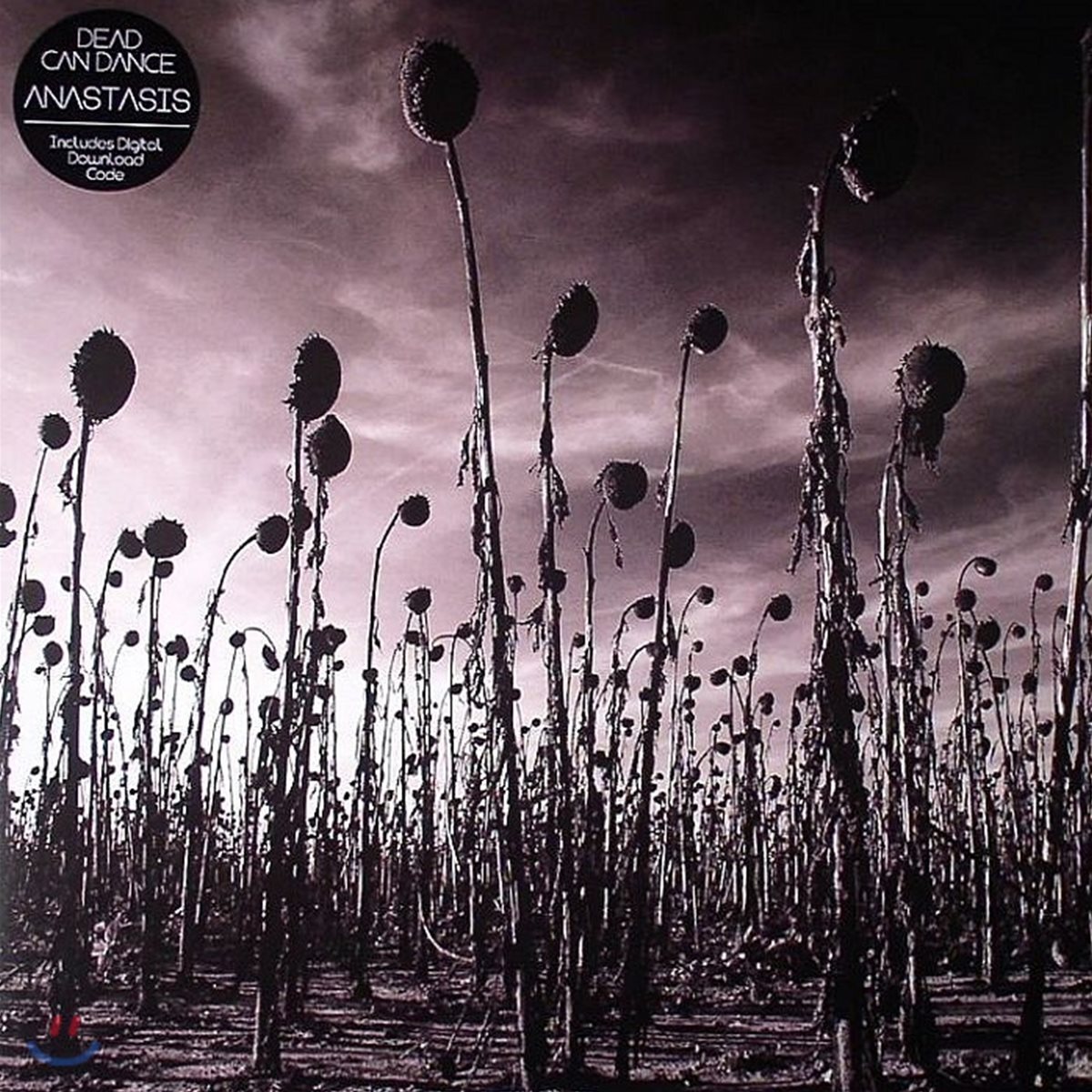 Dead Can Dance - Anastasis 데드 캔 댄스 8집 [2LP]