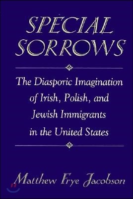 Special Sorrows: The Diasporic Imagination of Irish, Polish, and Jewish Immigrants in the United States