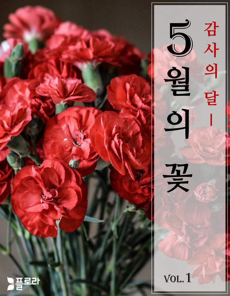 감사의 달 5월의 꽃 vol.1
