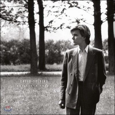 David Sylvian — Brilliant Trees 앨범 커버
