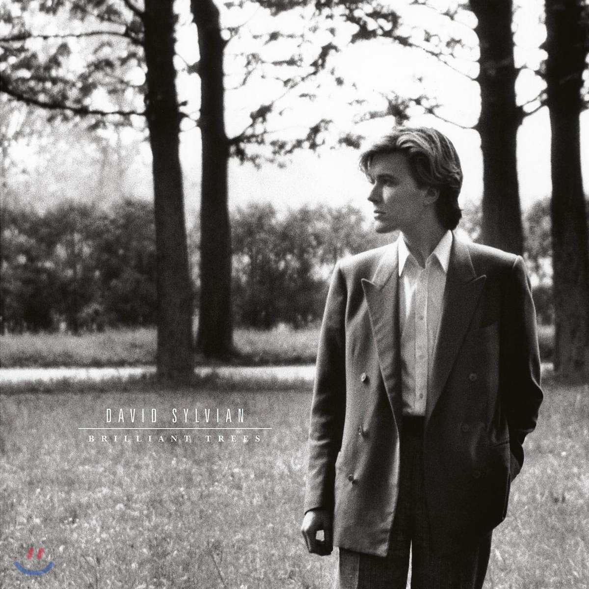 David Sylvian (데이빗 실비언) - Brilliant Trees [LP]