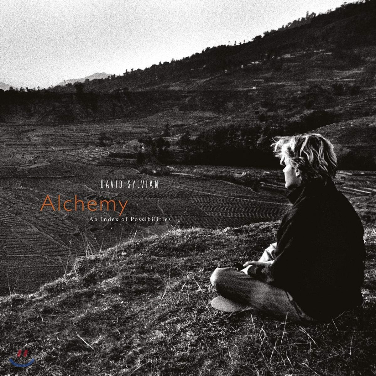 David Sylvian (데이빗 실비언) - Alchemy: An Index Of Possibilities [LP]
