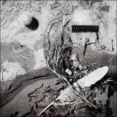 David Sylvian — Secrets Of The Beehive 앨범 커버