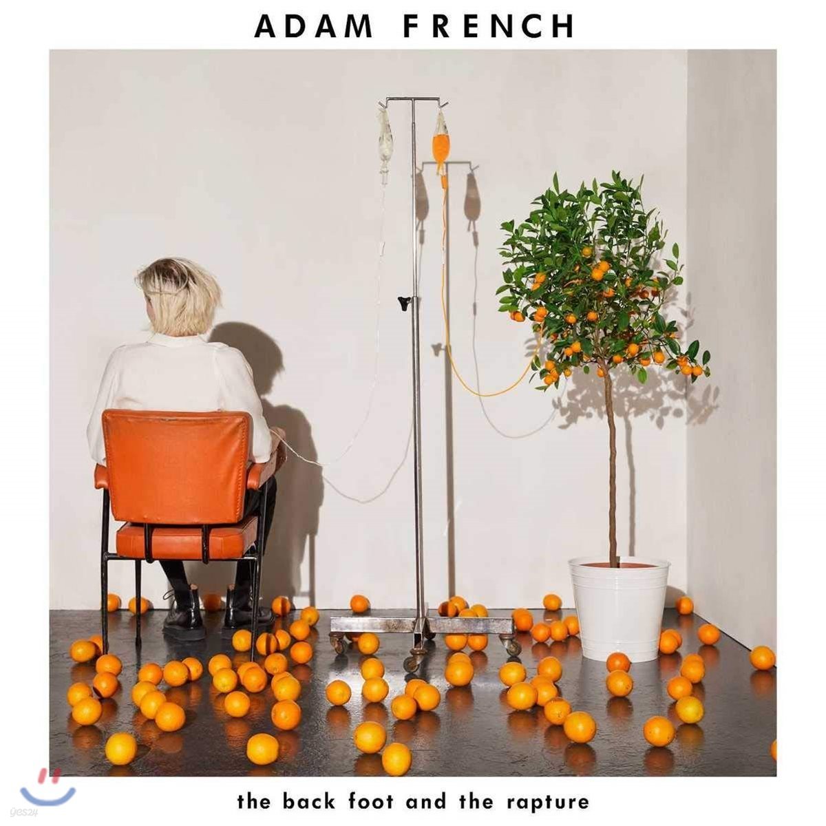 Adam French - The Back Foot And The Rapture 아담 프렌치 1집 [LP]