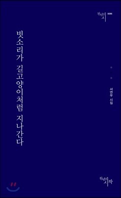 빗소리가 길고양이처럼 지나간다