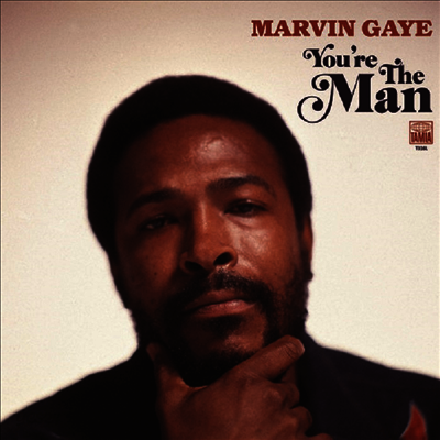 Marvin Gaye - You're The Man (2LP)