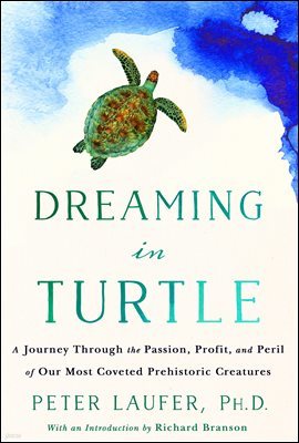 Dreaming in Turtle