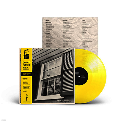 Beach Fossils — What a Pleasure 앨범 커버