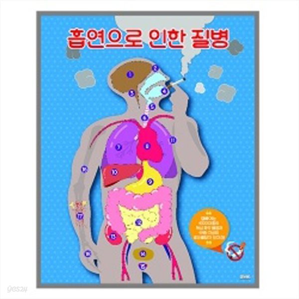 보건교구 흡연과질병 자석보드 세트KIM3-114