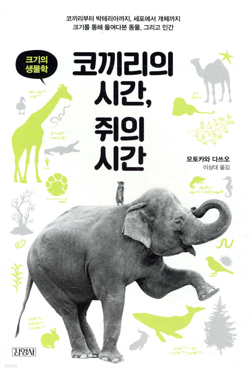 [대여] 코끼리의 시간, 쥐의 시간