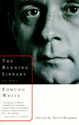 The Burning Library: Essays