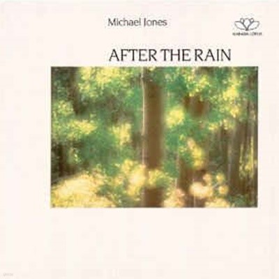 [중고 LP] Michael Jones - After The Rain