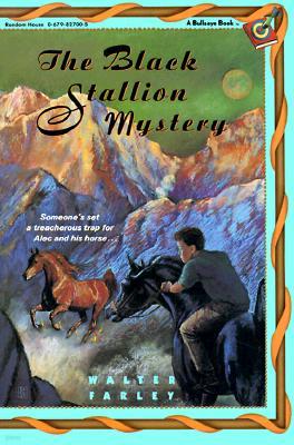 The Black Stallion Mystery