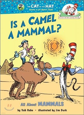 Is a Camel a Mammal? All about Mammals
