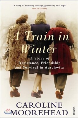 A Train in Winter