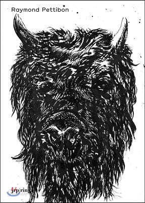 Raymond Pettibon