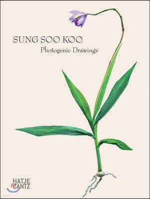 Sung Soo Koo