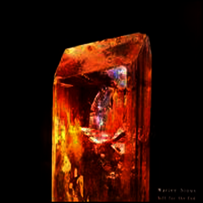 Mariee Sioux - Gift for the End (LP)