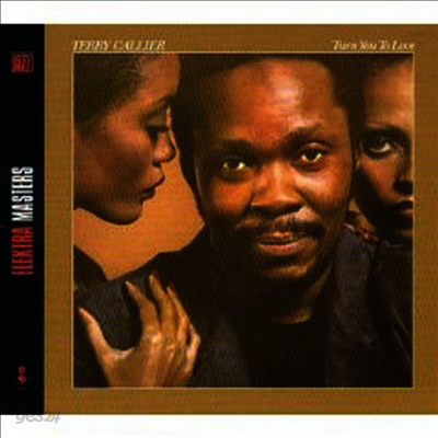 Terry Callier - Turn You to Love (Remastered)(LP)