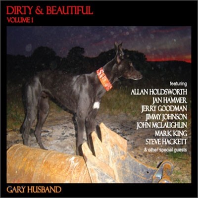 Gary Husband - Dirty And Beautiful Vol.1