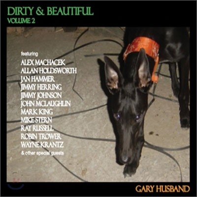 Gary Husband - Dirty And Beautiful Vol.2