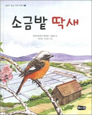 소금밭 딱새