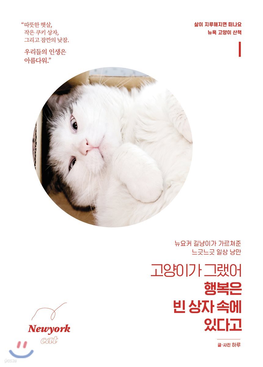고양이가 그랬어 행복은 빈 상자 속에 있다고
