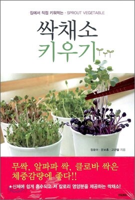 싹채소 키우기