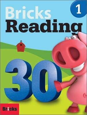 Bricks Reading 30 1