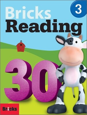Bricks Reading 30 3