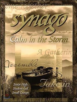 Synago Calm in the Storm Leader: Student Led Senior High Cell Group