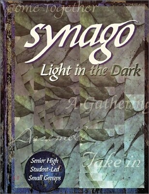 Synago Light in the Dark Student Led Senior High Cell Group Leader